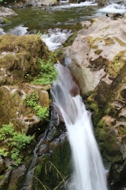 A natural waterfall flows over moss-covered rocks into a pool beneath. Surrounding the waterfall are lush green plants and foliage, creating a serene and peaceful atmosphere. The water appears clear and fresh, cascading down with a gentle force.