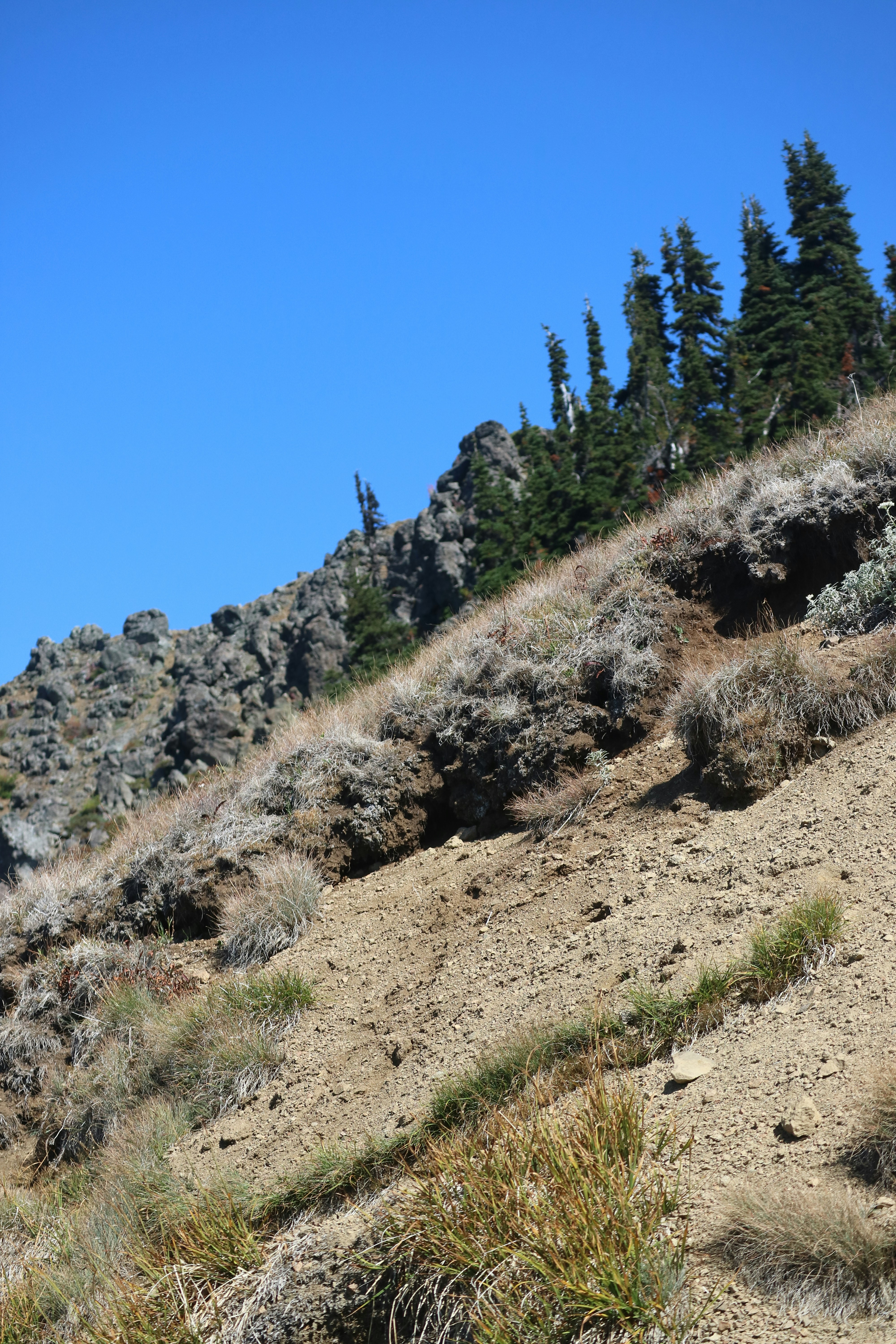 Photo by vincentyuan87