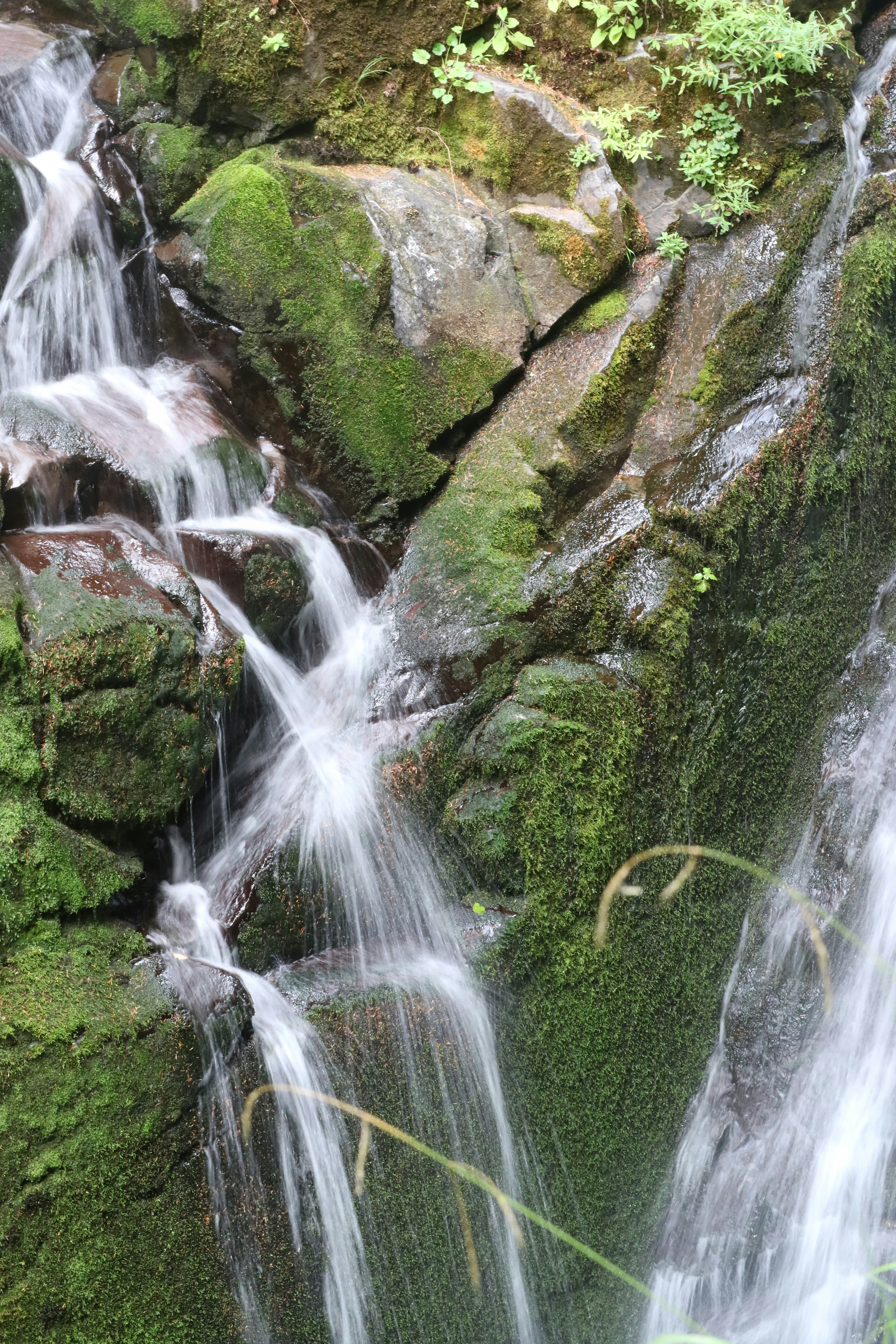 Photo by vincentyuan87