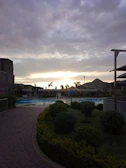A twilight shot of a backyard pool with soft ambient lighting and surrounding plants.