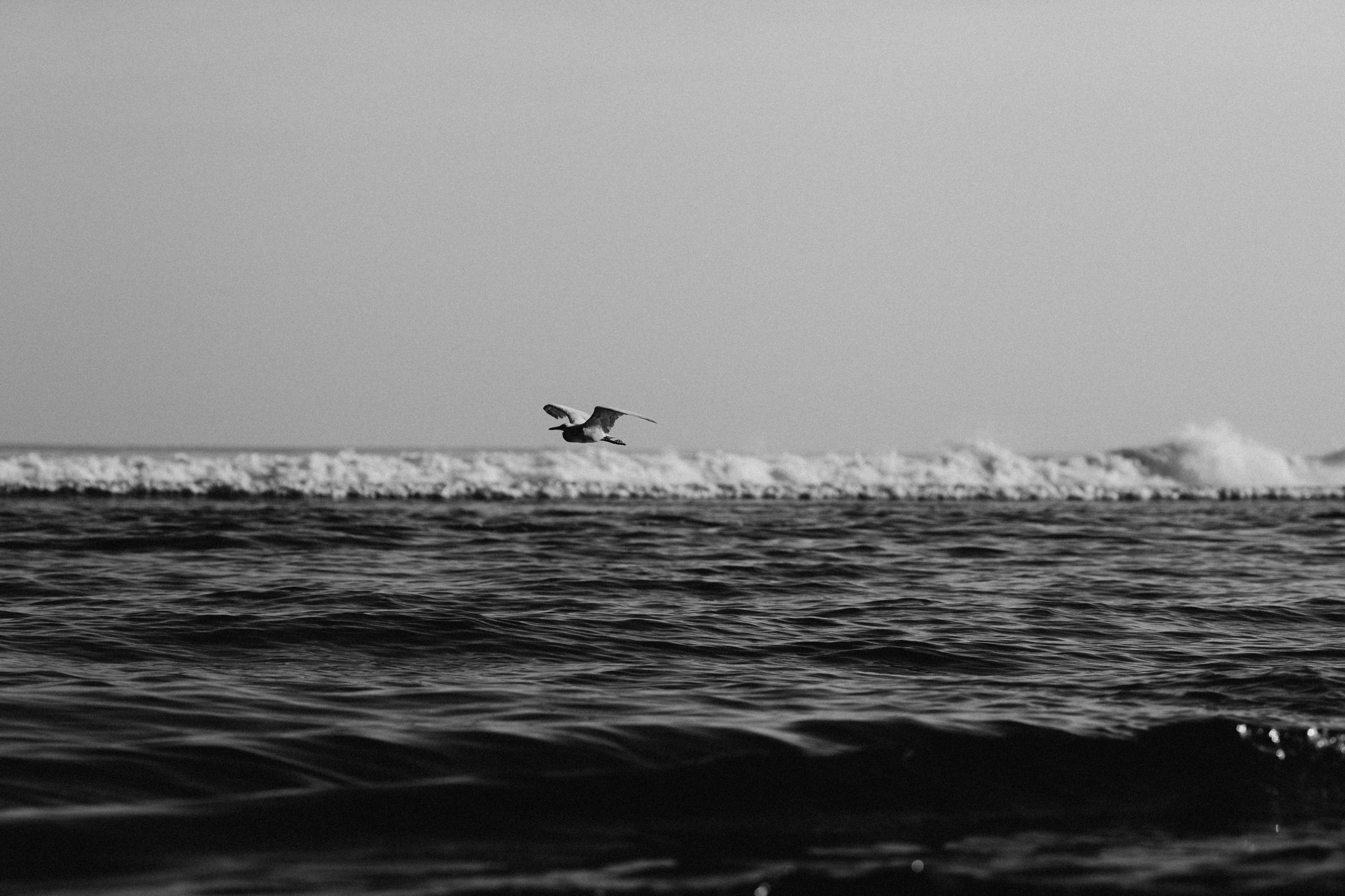 Photo by the_traveler_with_a_romantic_twist