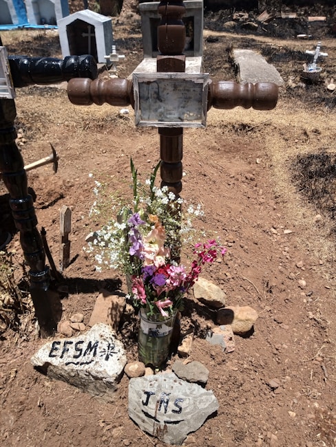 A rustic, handmade wooden cross marks a grave, surrounded by dry, brown earth. A bouquet of colorful flowers, including pink, purple, and white blossoms, is placed at the base of the cross in a glass container. Two rocks inscribed with letters 'EFSM' and 'JNS' are positioned in front. Tombstones and other crosses are visible in the background of a sunlit cemetery.