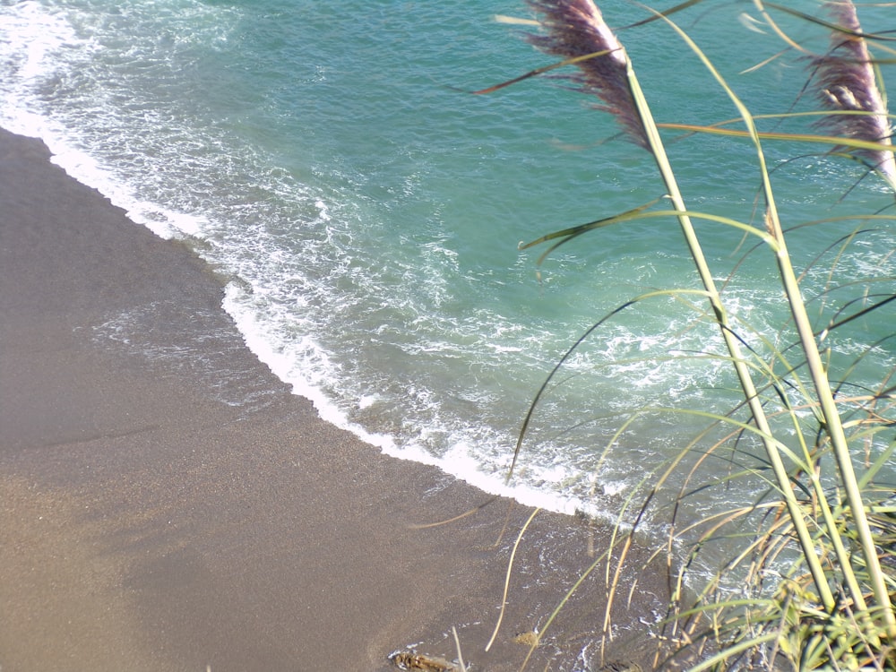 a view of a beach with waves coming in from the ocean