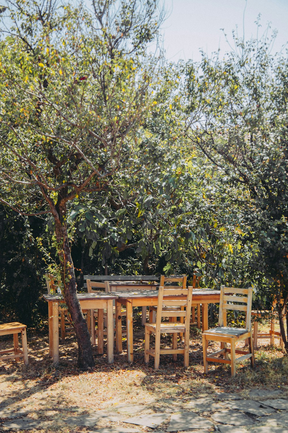 a wooden table and chairs under a tree
