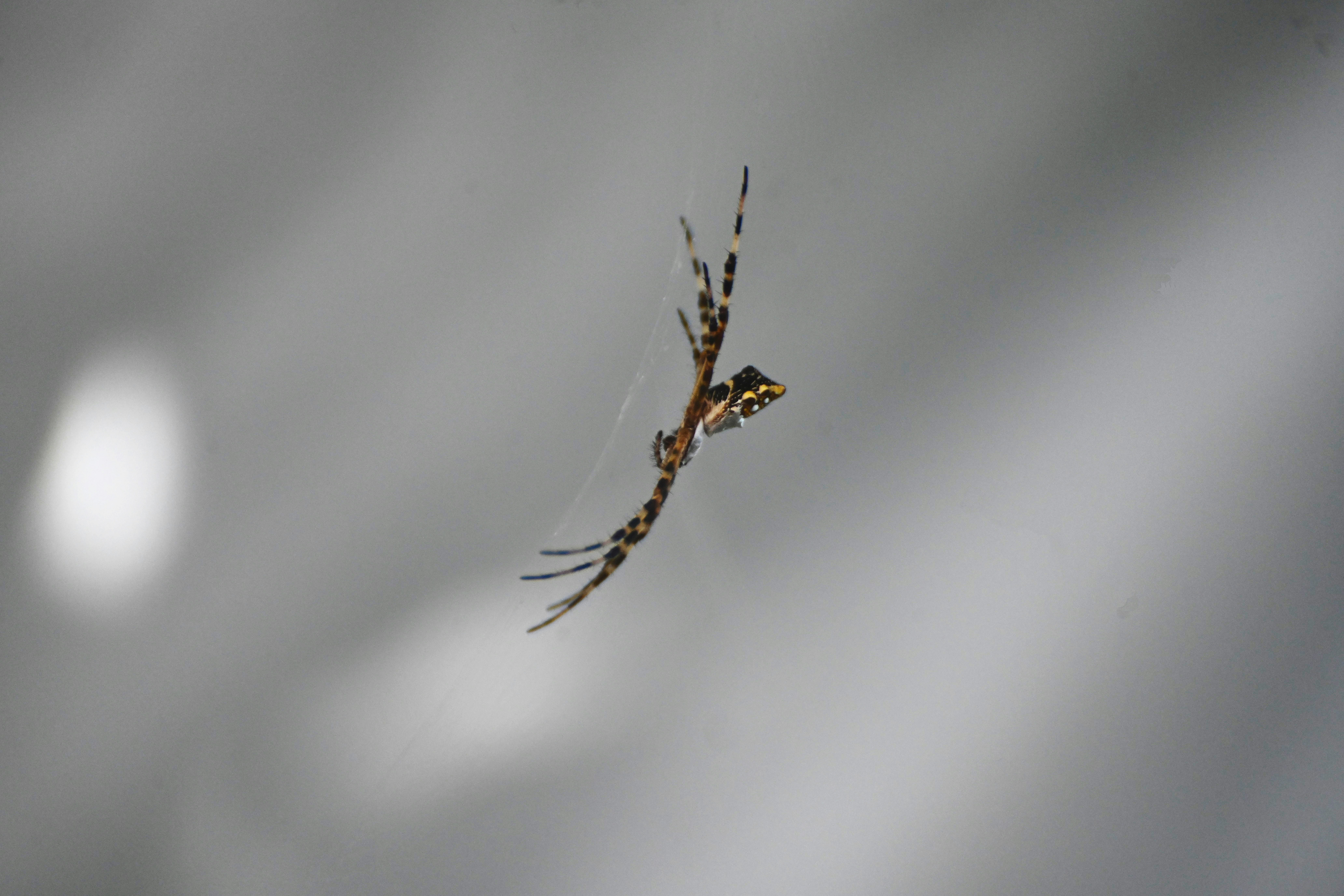 Photo by climatechangevi