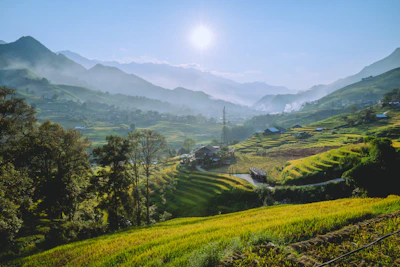 Golden terraced rice fields basking in the warm morning sun.