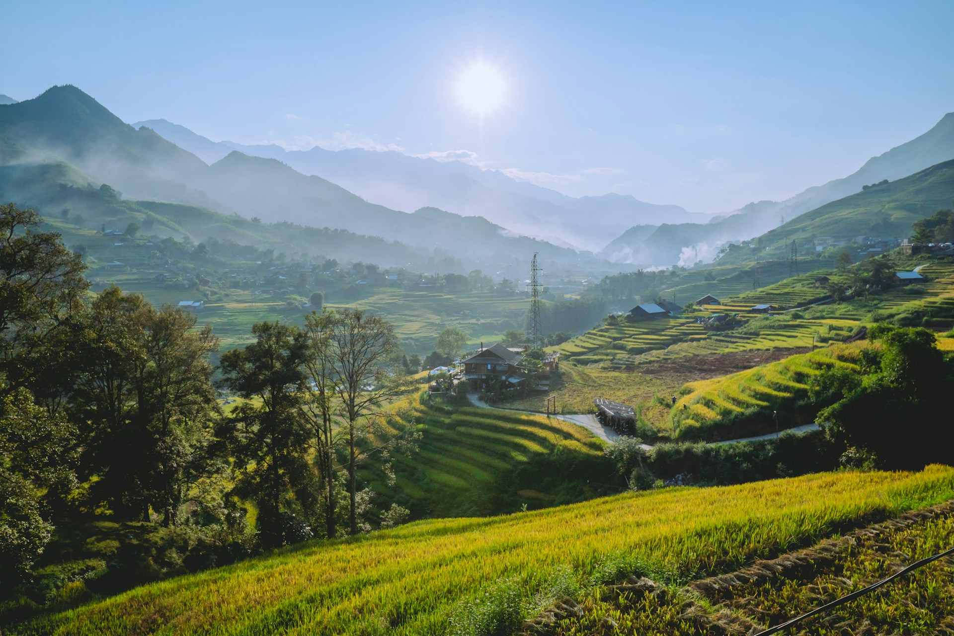A breathtaking sunrise over the terraced rice fields of Tegalalang, with vibrant green layers stretching into the misty distance.