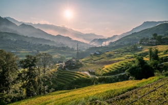 Terraced rice fields glowing golden in the late afternoon sun with farmers working.
