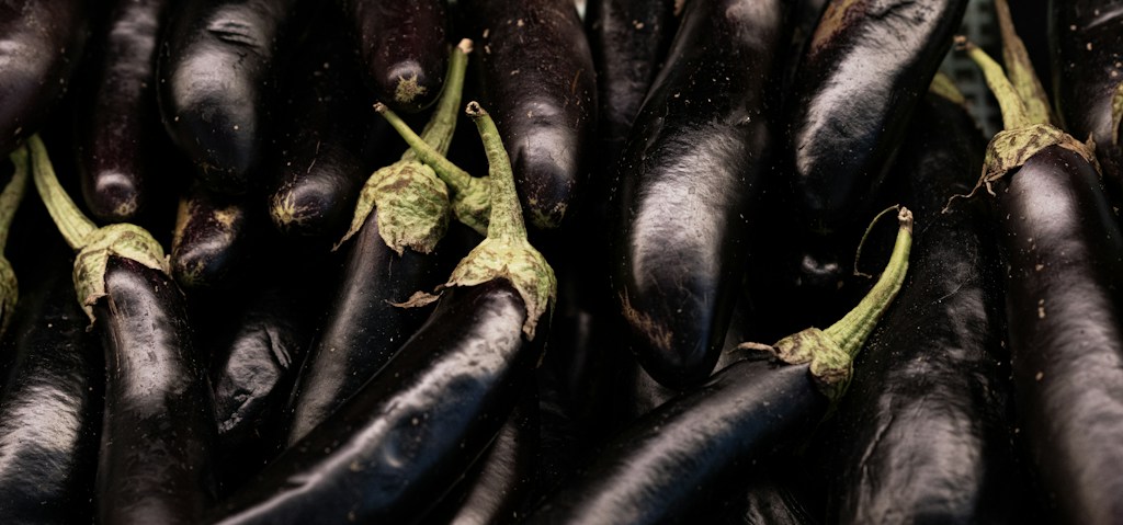 Fresh Purple Eggplants