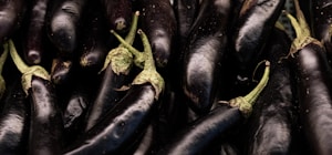 Fresh Purple Eggplants