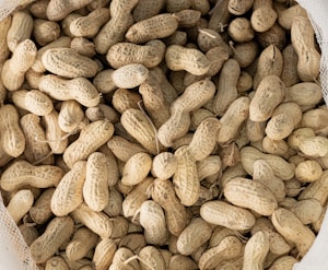 Cold-Pressed Groundnut Oil