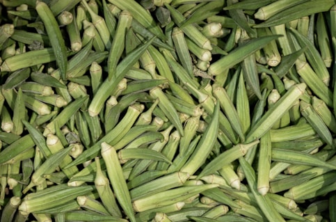 a close up of a bunch of green corn