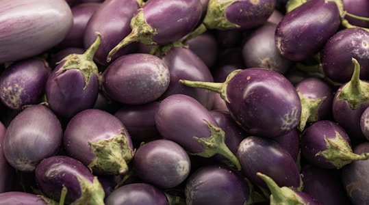 Indian Eggplant