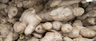A pile of fresh ginger roots with rough, beige skin and characteristic knobby shapes. Some roots show small green shoots emerging from the surface.