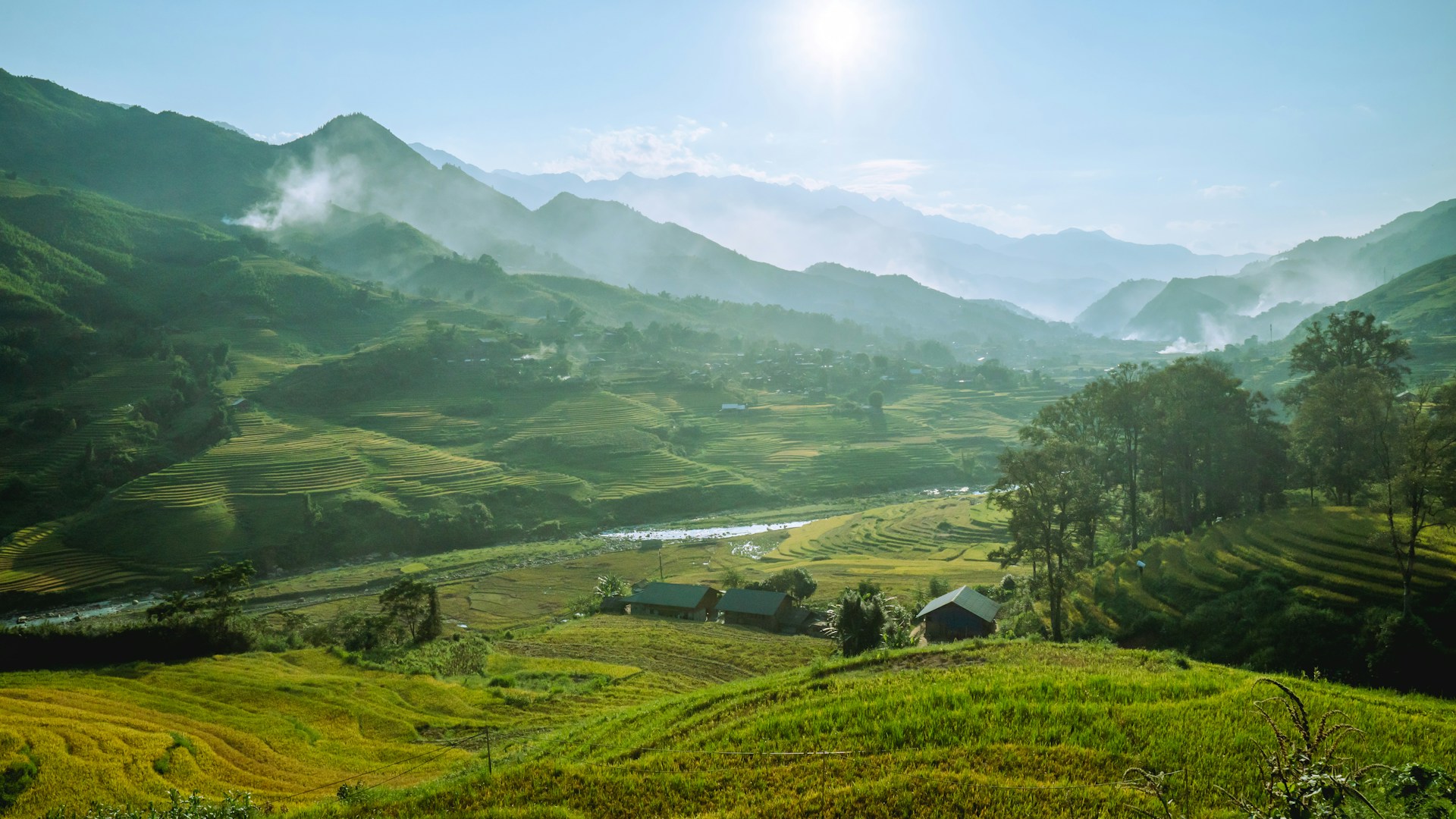 a lush green valley with mountains in the background