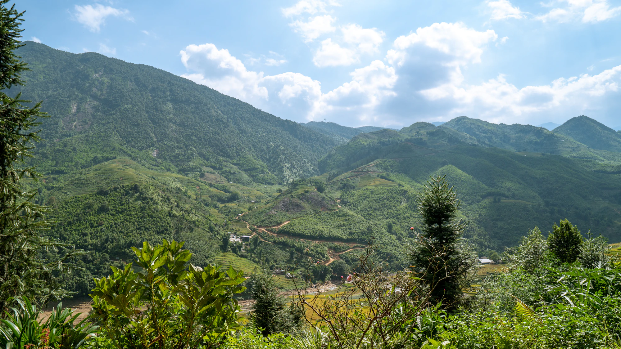 Sapa
