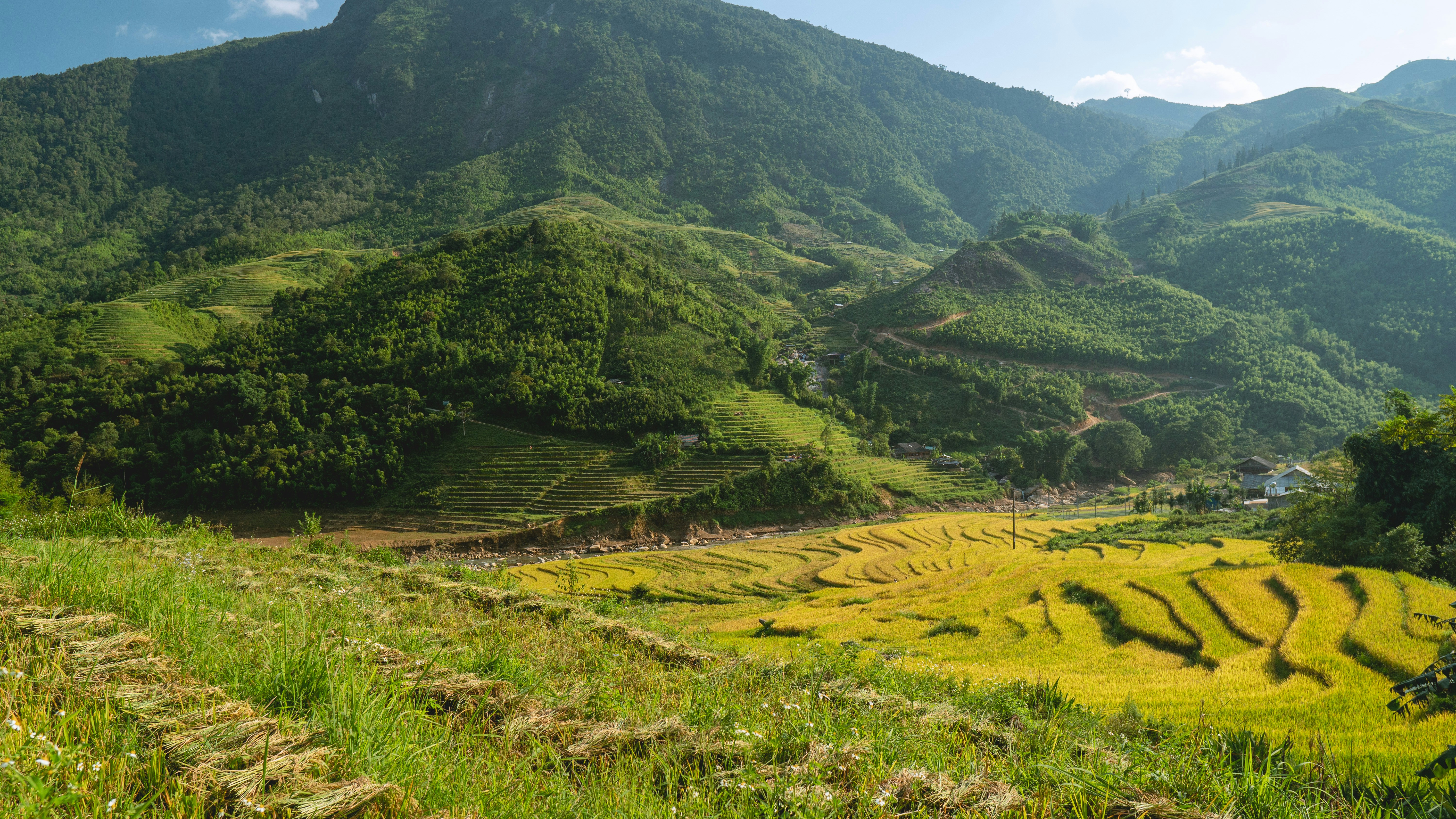 Green valley and mountains near Sapa, Vietnam