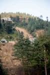 A landscape featuring a hillside densely covered with tall evergreen trees. A section of the hill appears to have undergone a landslide, with rocks and exposed earth visible. There are protective nets spread over parts of the slope, likely to prevent further erosion. In the background, more forested areas are visible, extending towards the sky.