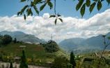 The scene depicts a lush, mountainous landscape with a prominent peak at the center, bordered by terraced fields and valleys. A notable structure or statue stands on the central peak. The foreground includes clusters of trees and small structures, possibly huts or gazebos. Leaves hang down from the top of the image, framing the view, while a bright, partly cloudy sky provides a majestic backdrop. The word 'FANSIPAN' is visible on one of the hills.