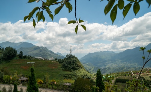 Poster image of the film 'Pao' showing a rural Vietnamese landscape