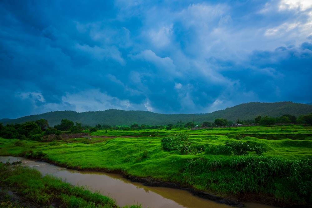 a river running through a lush green field under a cloudy sky