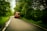 A red truck is driving down a winding road through a lush green forest. The road is wet, indicating recent rain, and is flanked by dense trees on both sides. The truck is labeled 'Goods Carrier' and appears to be traveling smoothly along the road.