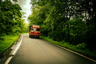 A red truck is driving down a winding road through a lush green forest. The road is wet, indicating recent rain, and is flanked by dense trees on both sides. The truck is labeled 'Goods Carrier' and appears to be traveling smoothly along the road.