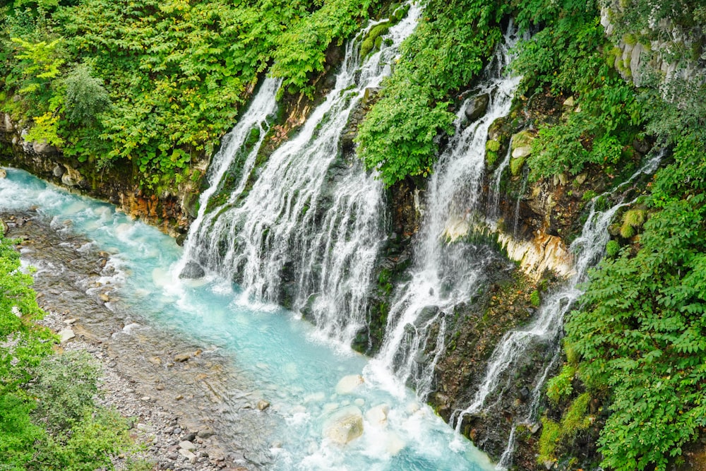 a waterfall in the middle of a lush green forest