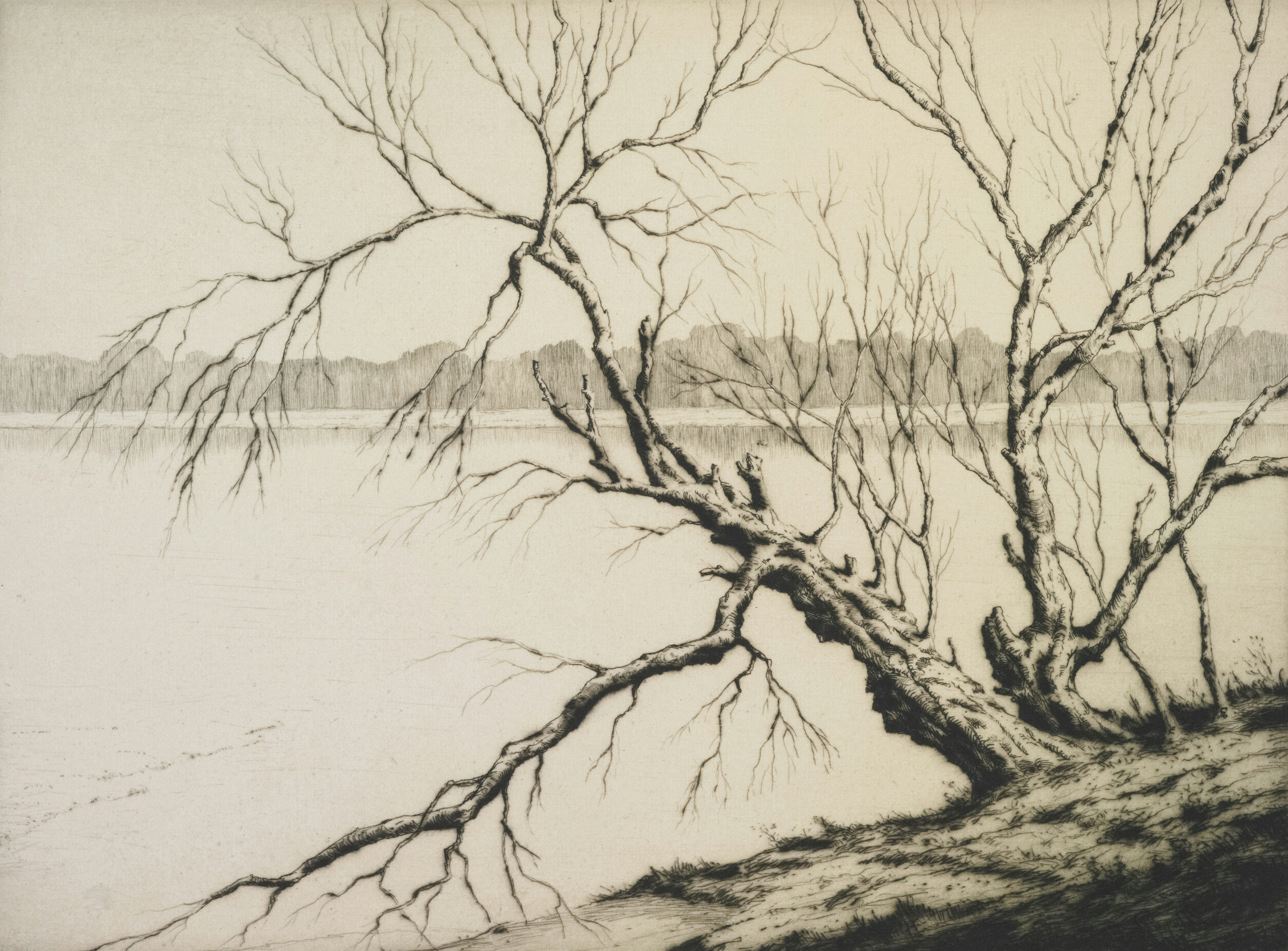 Photo by tepapa