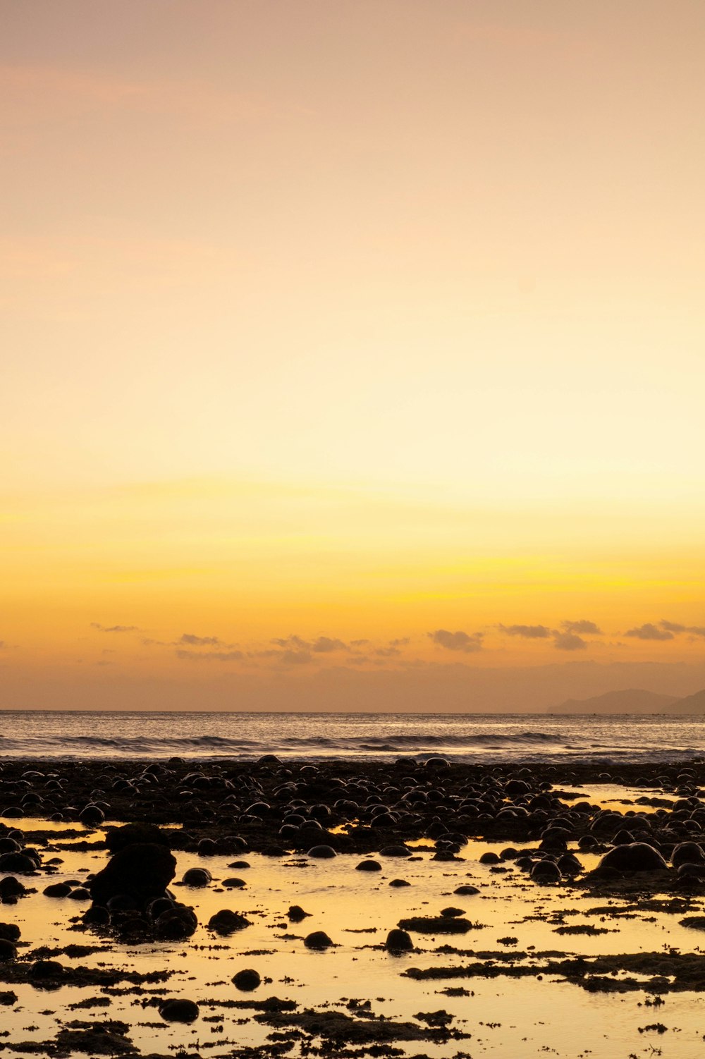 a person riding a surfboard on a rocky beach