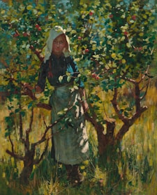 A farmer carefully inspecting ripe organic fruits in a sustainable orchard.