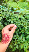 Close-up of henna-adorned hands holding vibrant flower petals.