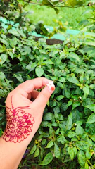 Close-up of henna-adorned hands holding a bouquet of fresh flowers.