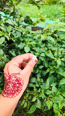 Close-up of henna-adorned hands holding vibrant flower petals.