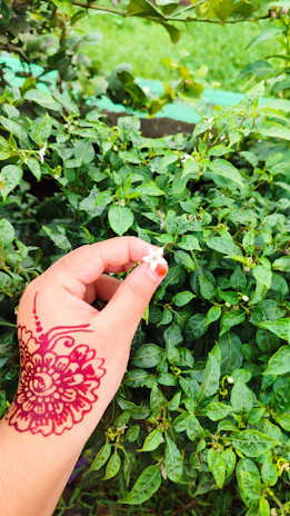 A close-up of hands adorned with mehndi, holding delicate flower petals.