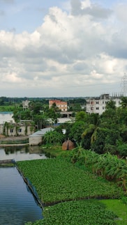 A serene rural landscape featuring lush green vegetation surrounding a body of water with small farming plots. In the background, there are several multi-story buildings partially obscured by trees, along with a vast cloudy sky overhead. The environment suggests a mix of nature and urban development.