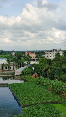 A serene rural landscape featuring lush green vegetation surrounding a body of water with small farming plots. In the background, there are several multi-story buildings partially obscured by trees, along with a vast cloudy sky overhead. The environment suggests a mix of nature and urban development.