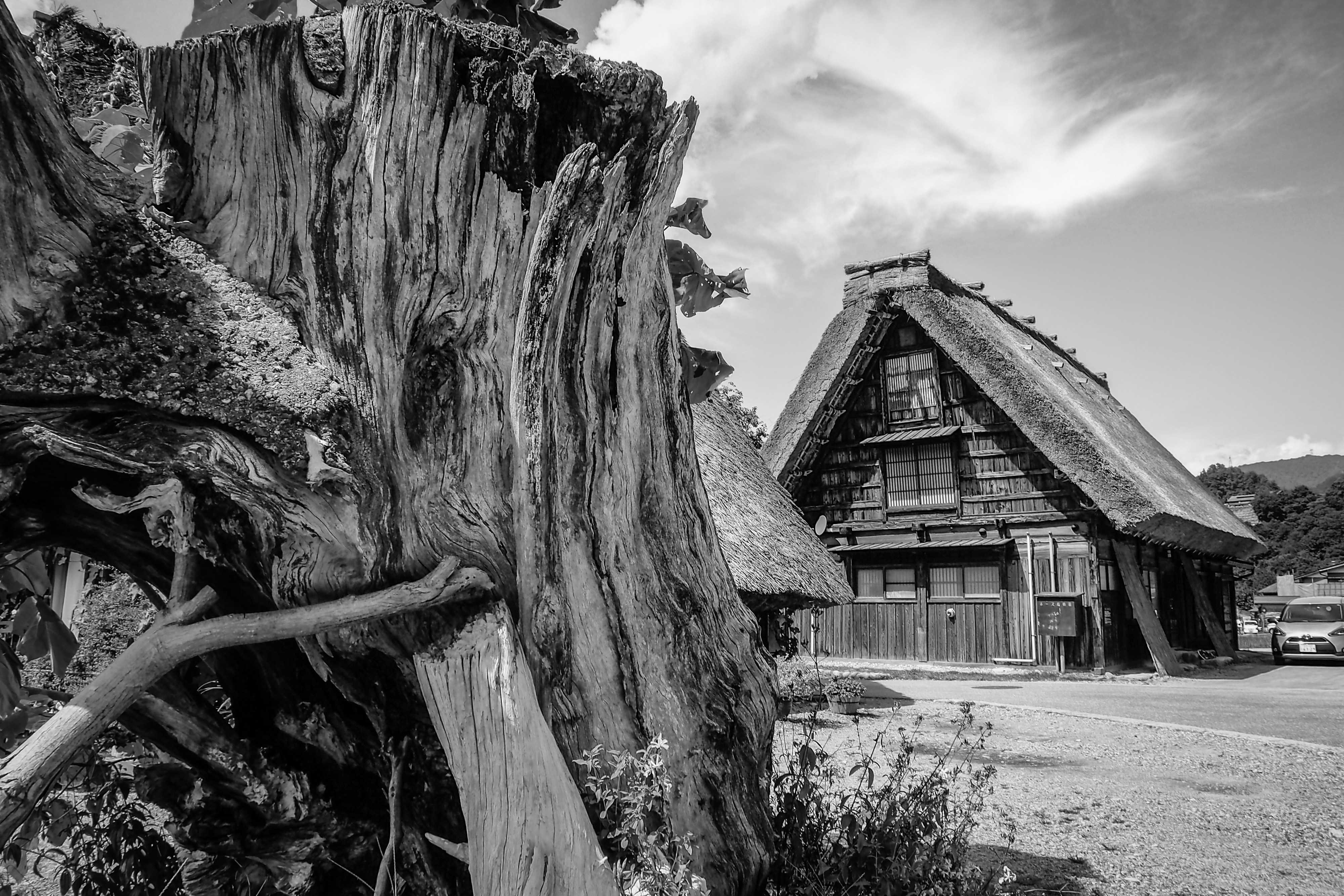 a black and white photo of a log house