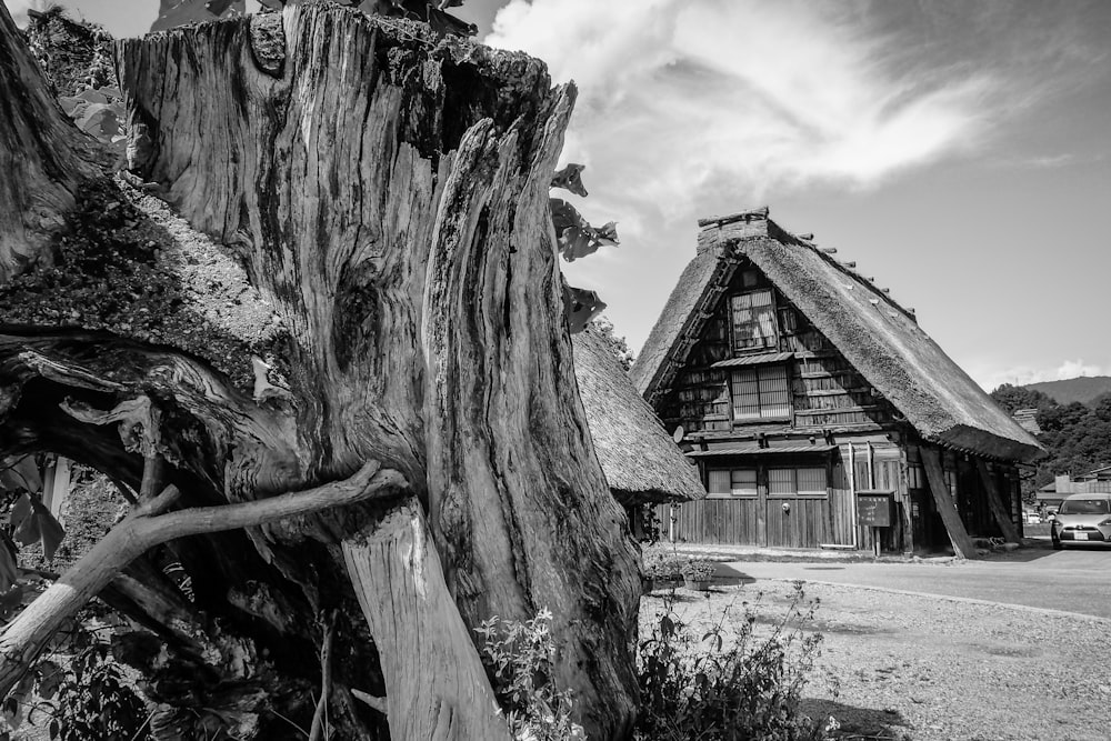 a black and white photo of a log house