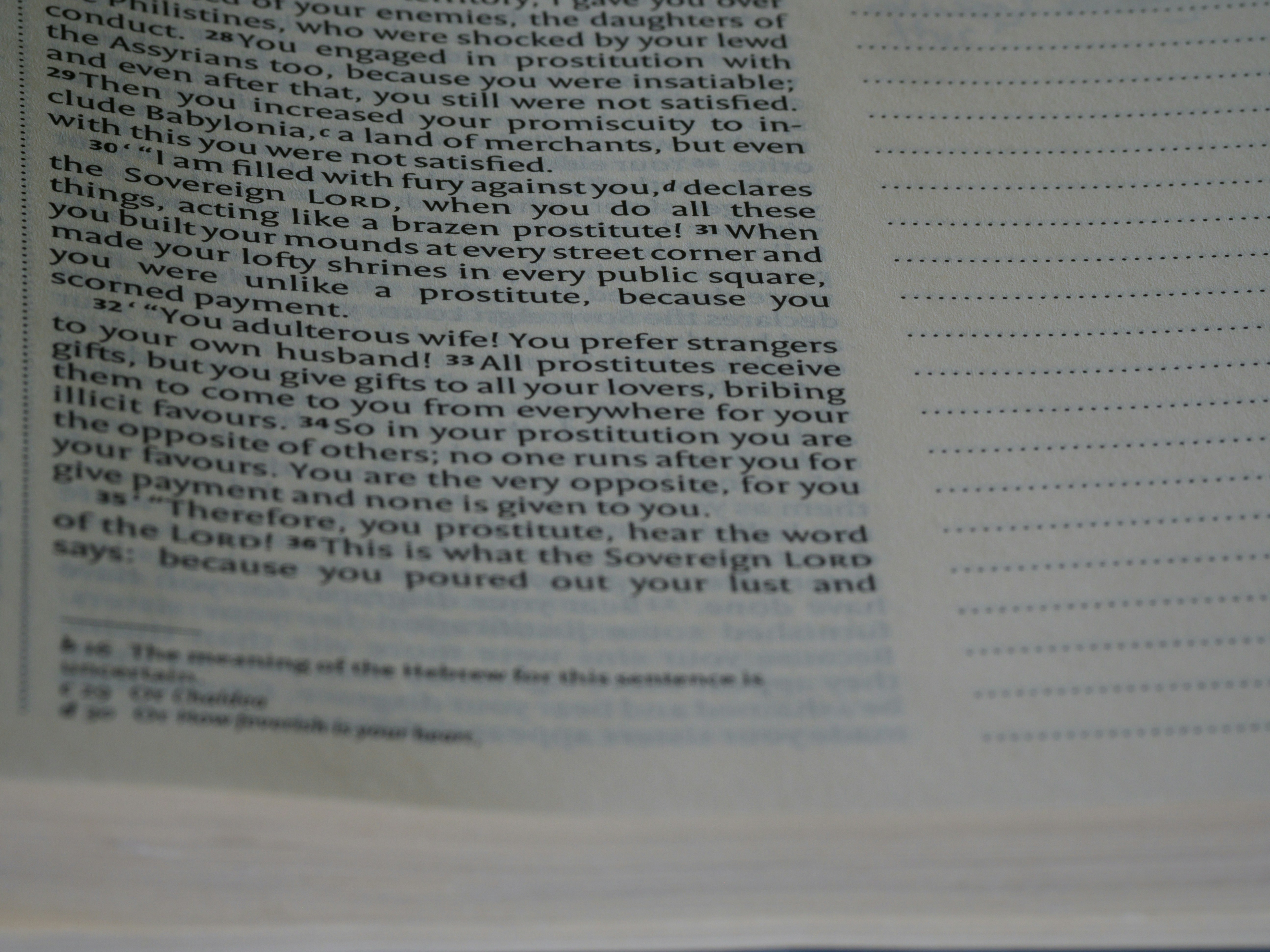 photo-1694160744683-54646352f15b?ixid=M3wxMjA3fDB8MXxzZWFyY2h8MTV8fG05OC5wYWdlcy5kZXZ8ZW58MHx8fHwxNzU5MDM4NzE2fDA\u0026ixlib=rb-4.1.0