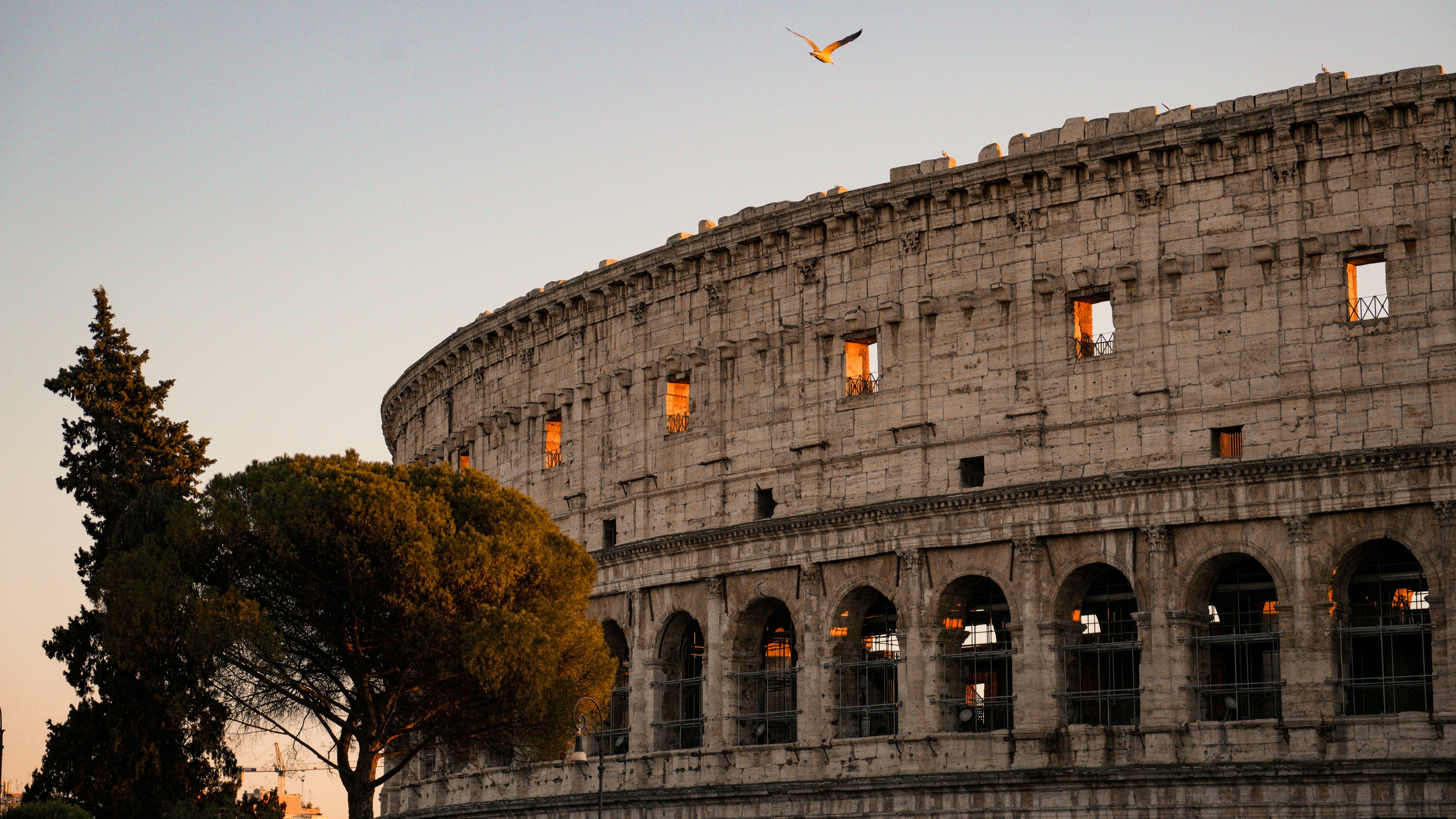 Photo by frank_romero