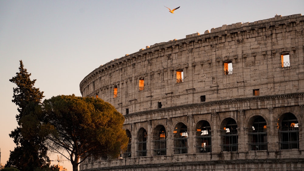 a bird flying over a large stone building