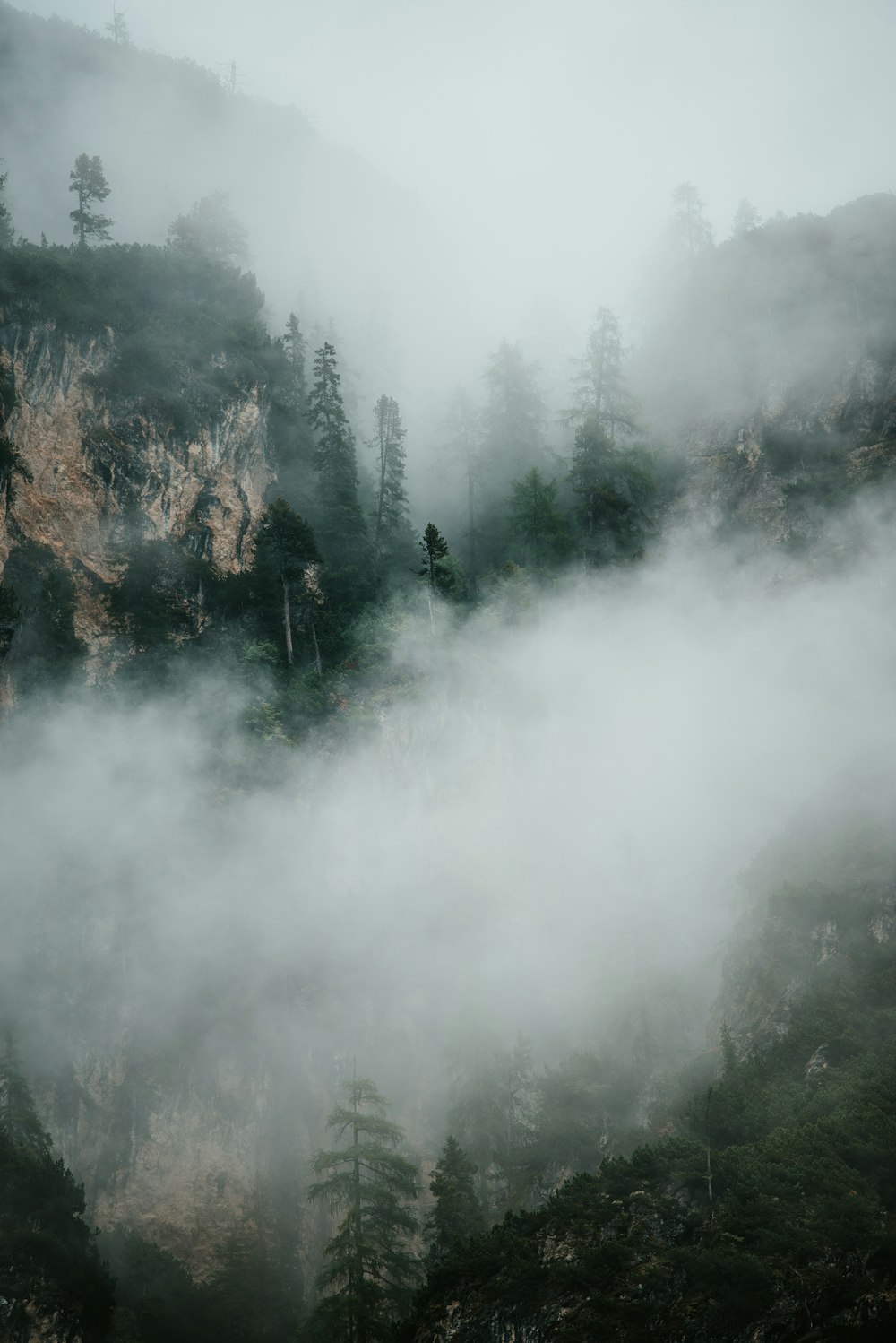 a mountain covered in fog and trees