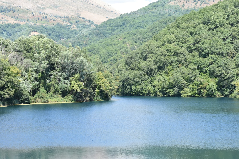 a large body of water surrounded by trees