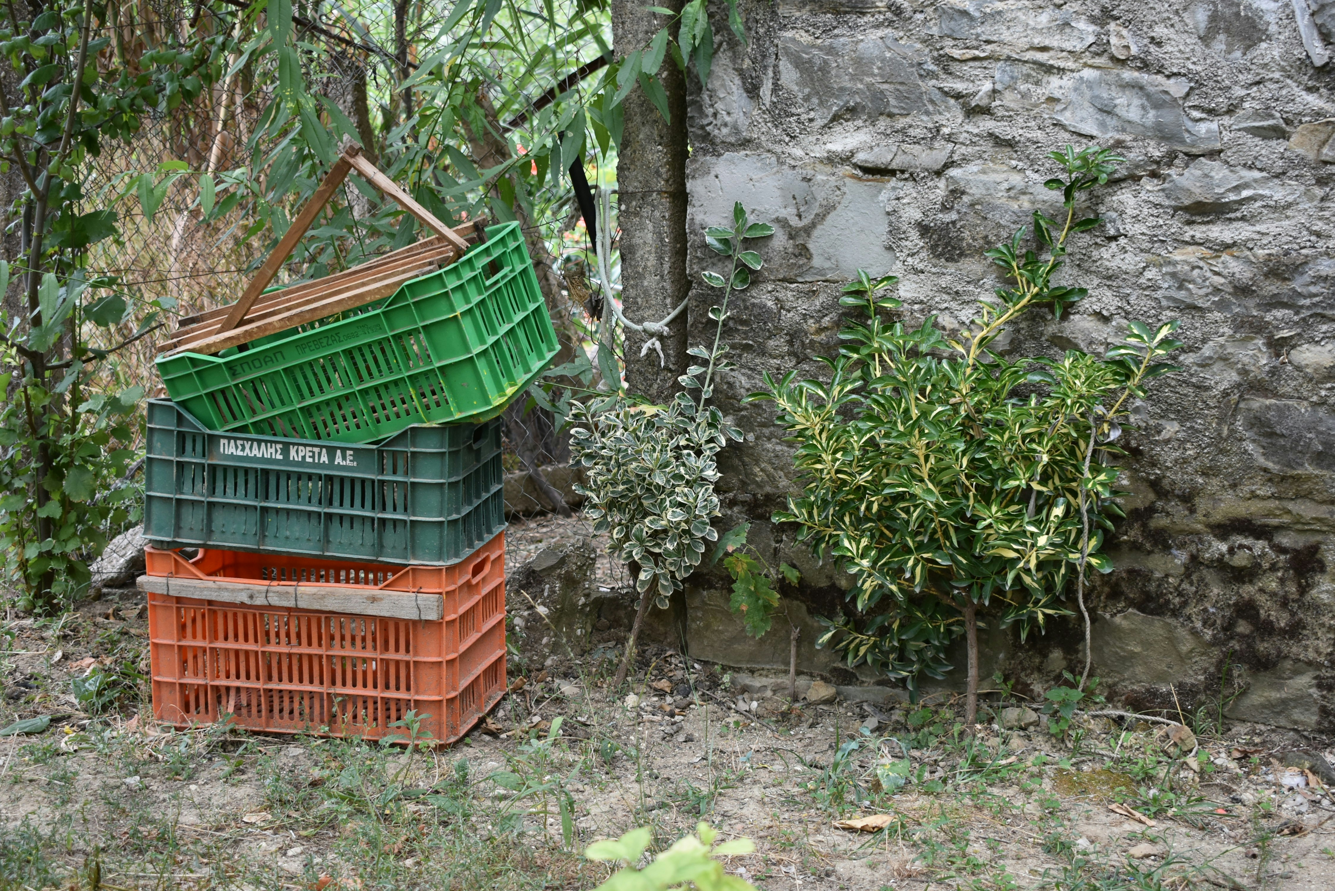 Organic jaggery blocks