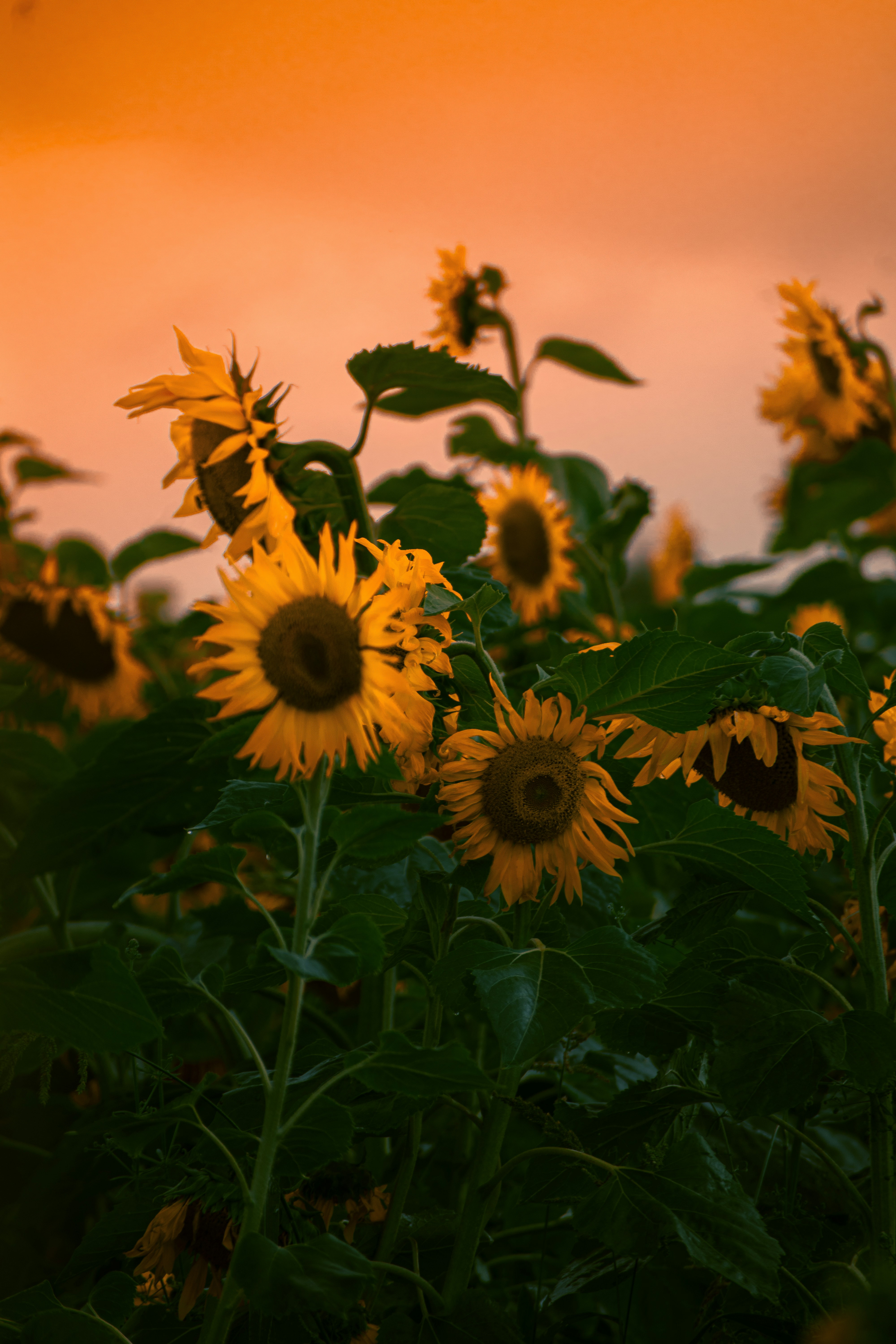 Photo by christina_kozak