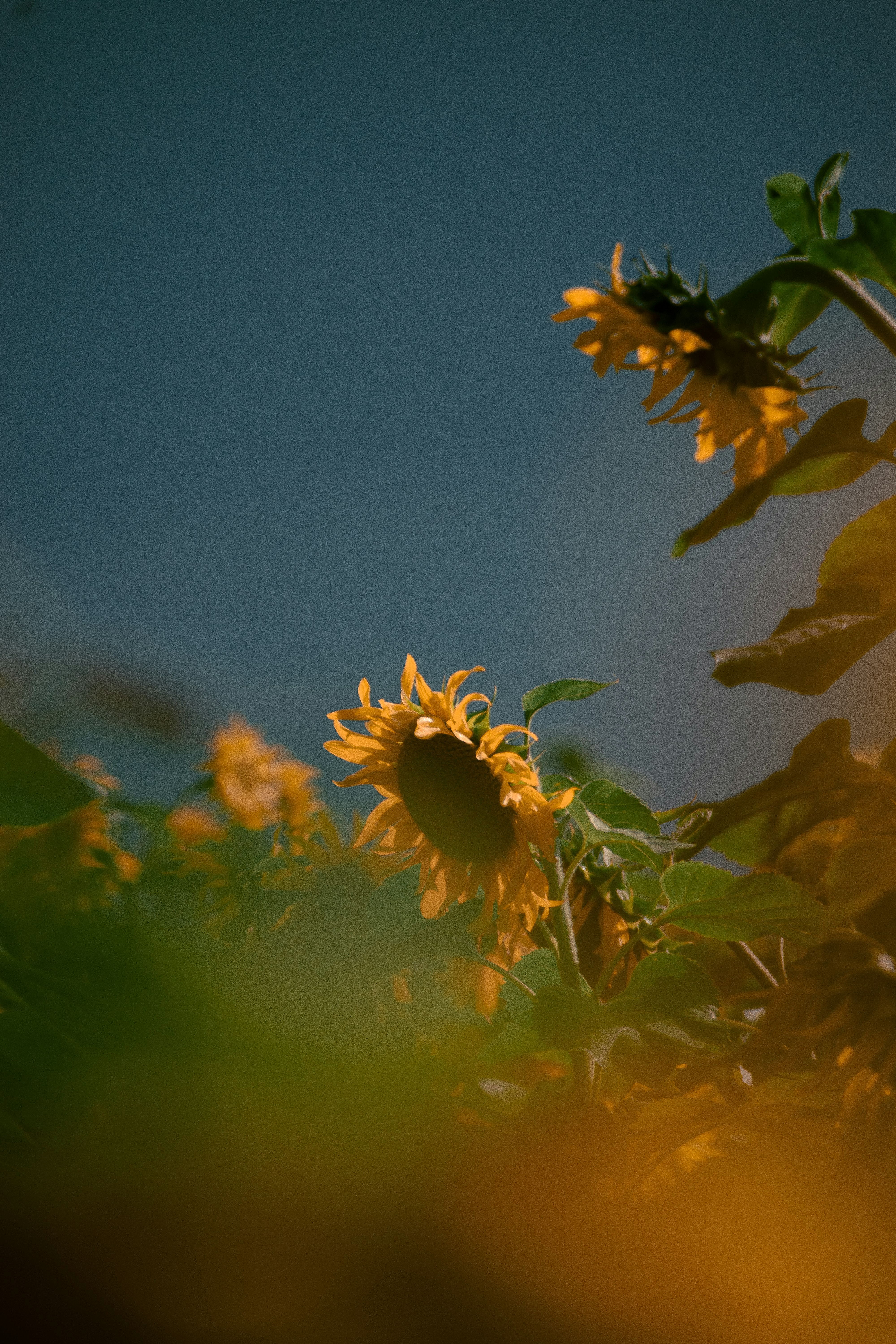 Photo by christina_kozak