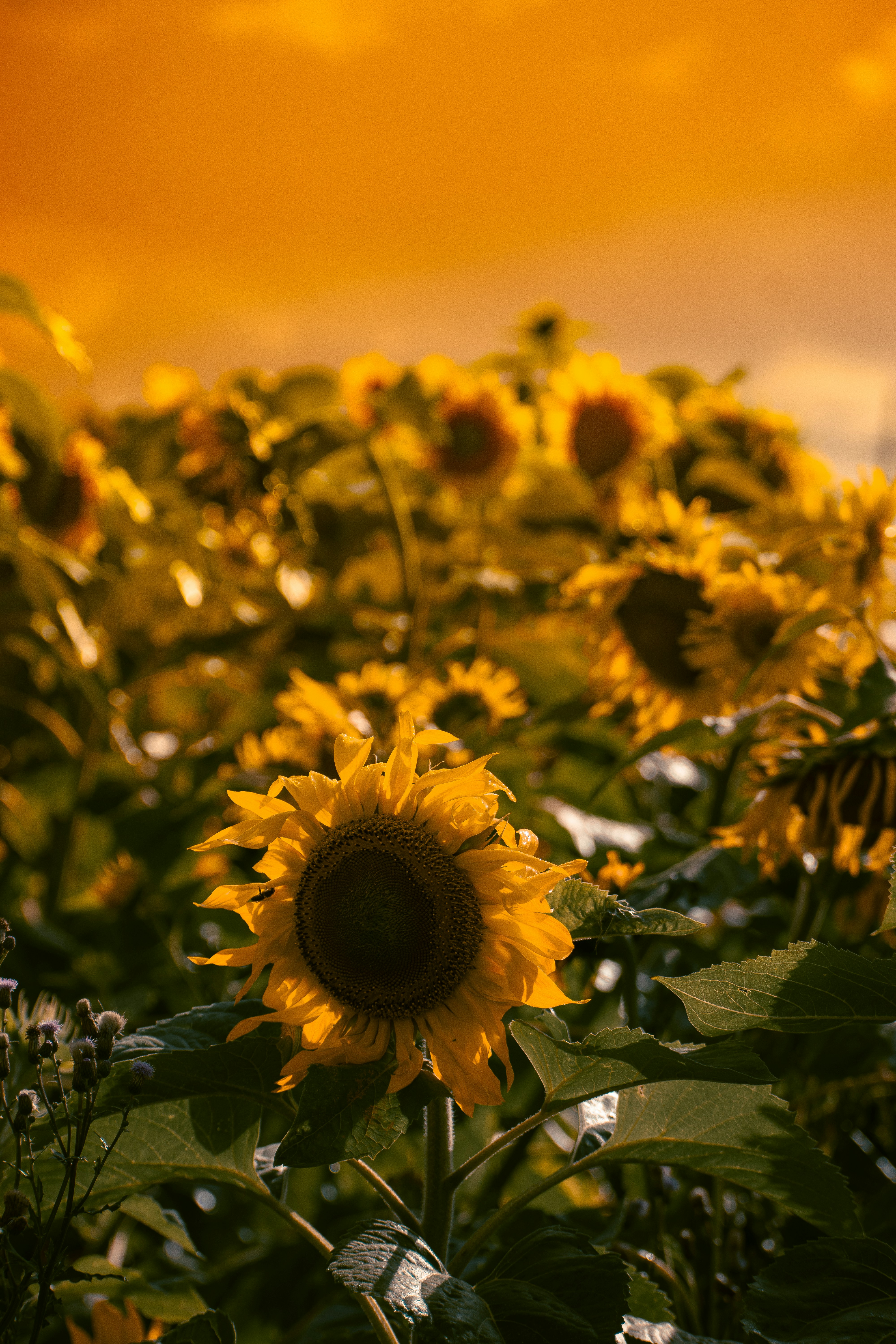 Photo by christina_kozak