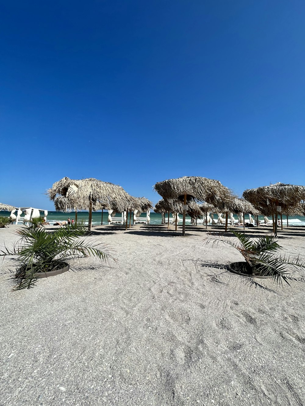 un mucchio di ombrelloni che sono su una spiaggia