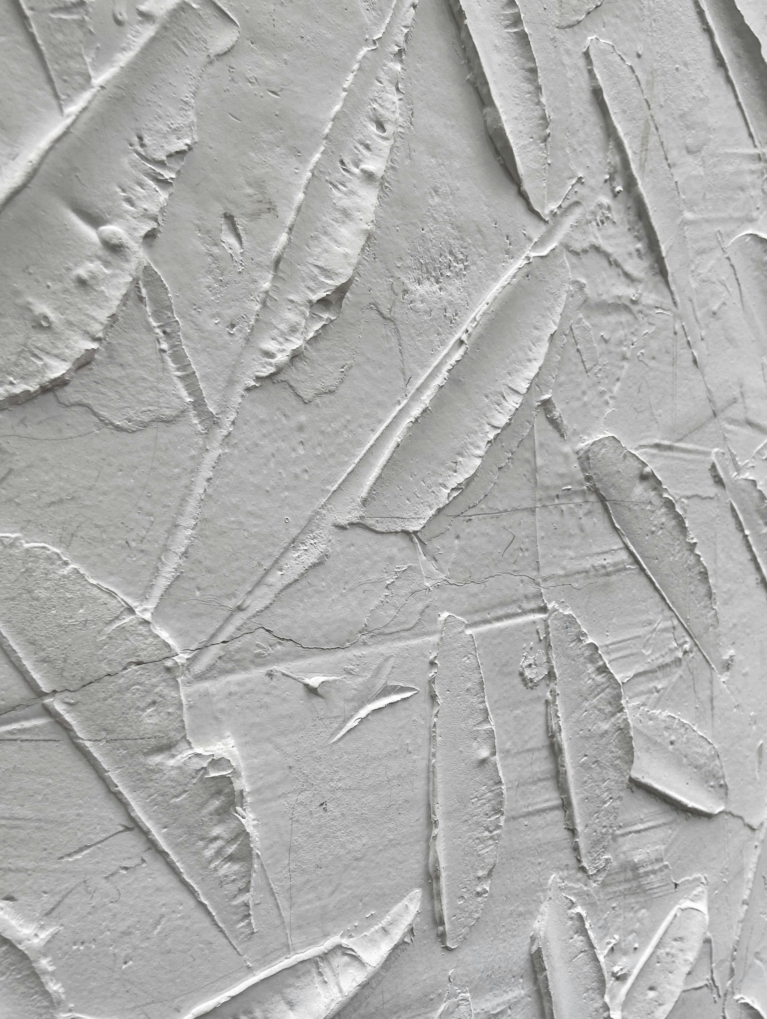 Understanding Chronic Active Lesions in Multiple Sclerosis